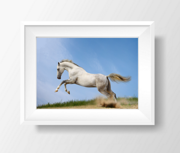 White Running Horse Wall Mounted Picture Frame 700